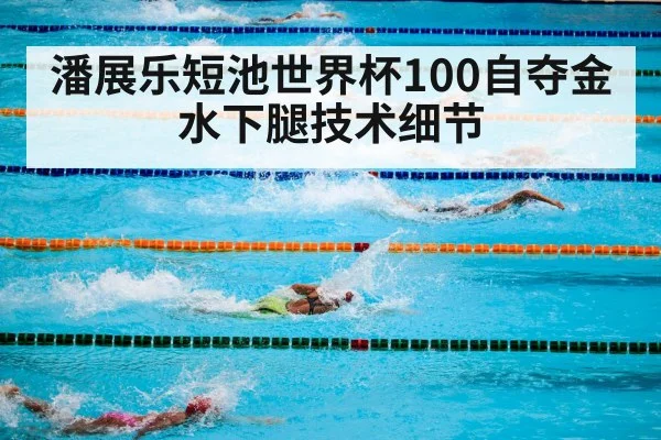 潘展乐短池世界杯100自夺金 水下腿技术细节