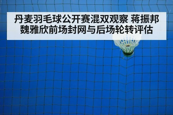 badminton net shot